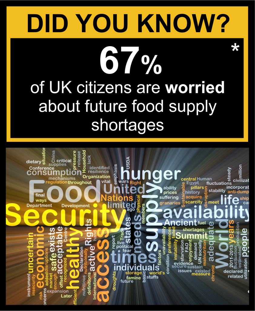 UK Food supply shortages 