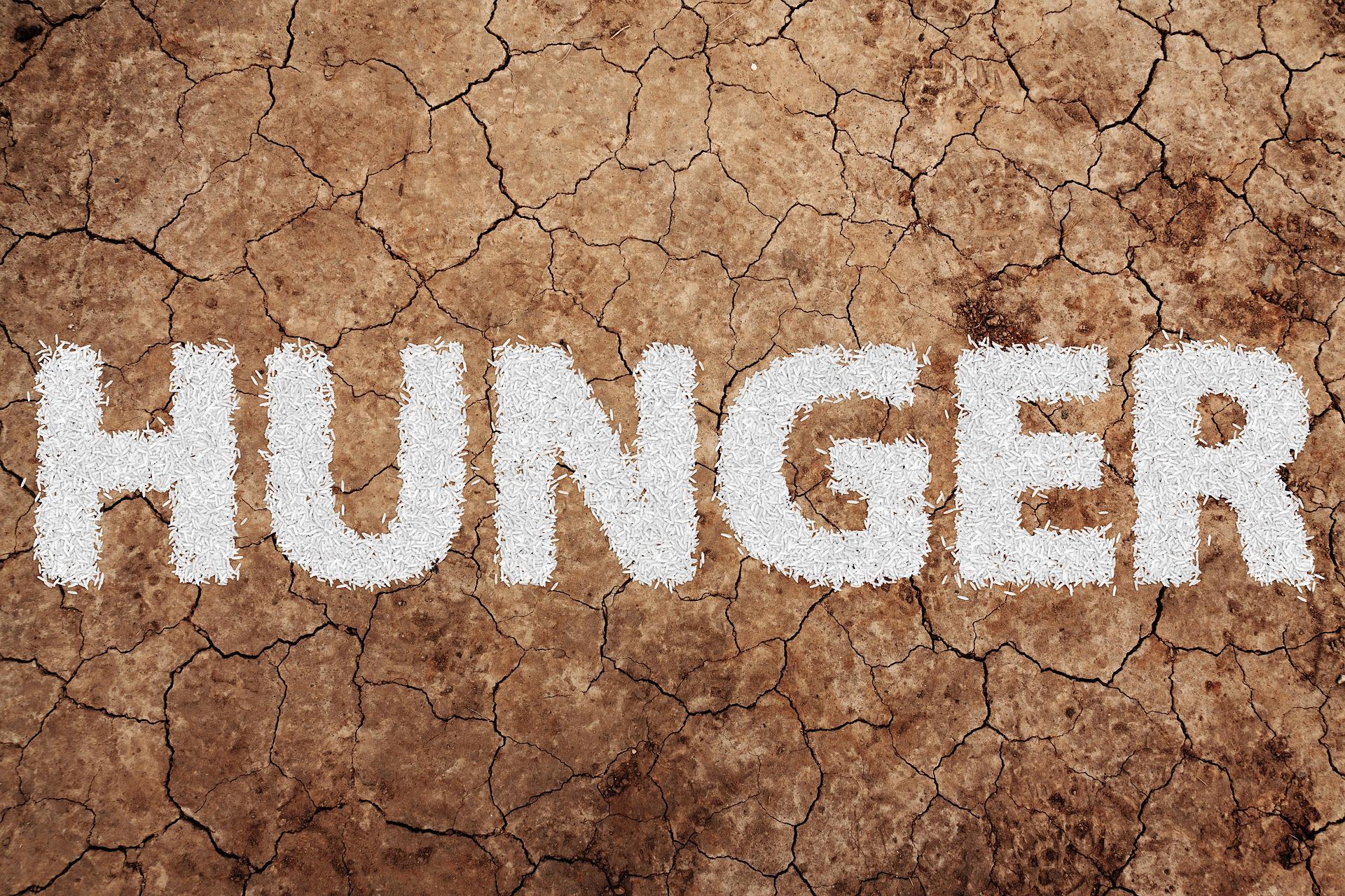 Why the World's Food Supply is in Danger and What You Can Do to Prepare
